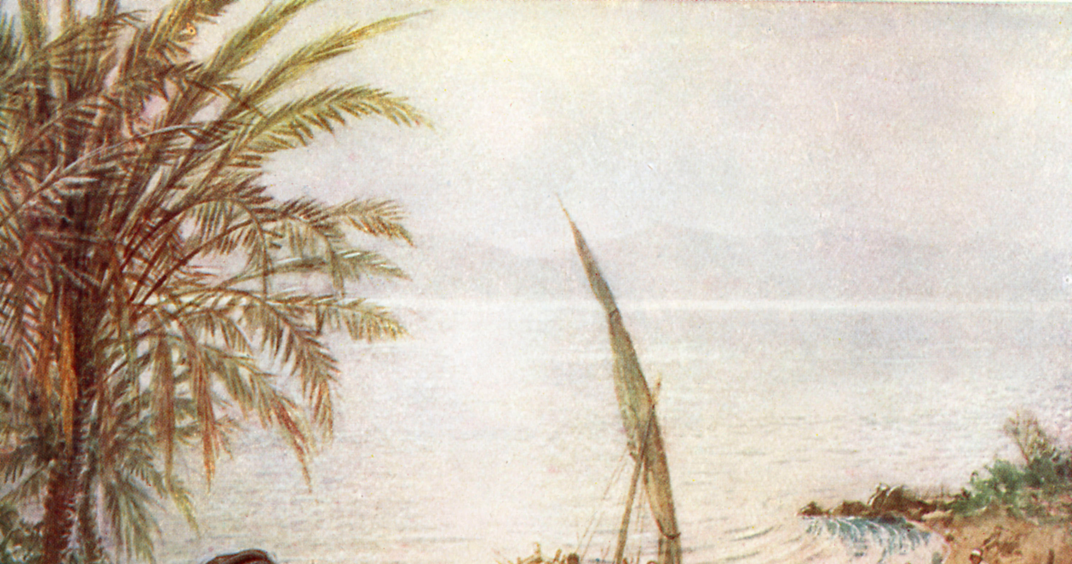 seminatore_mare.jpg